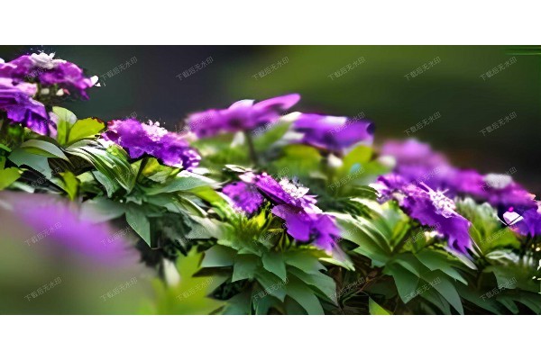 武汉桑拿盛宴，全身放松好去处！